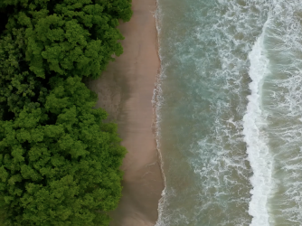 Drone-saving aerials Collection Thumbnail