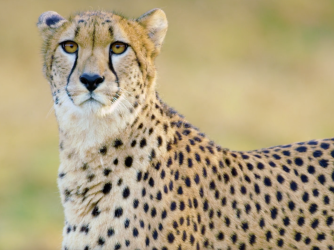 Jaw-dropping travel footage Collection Thumbnail