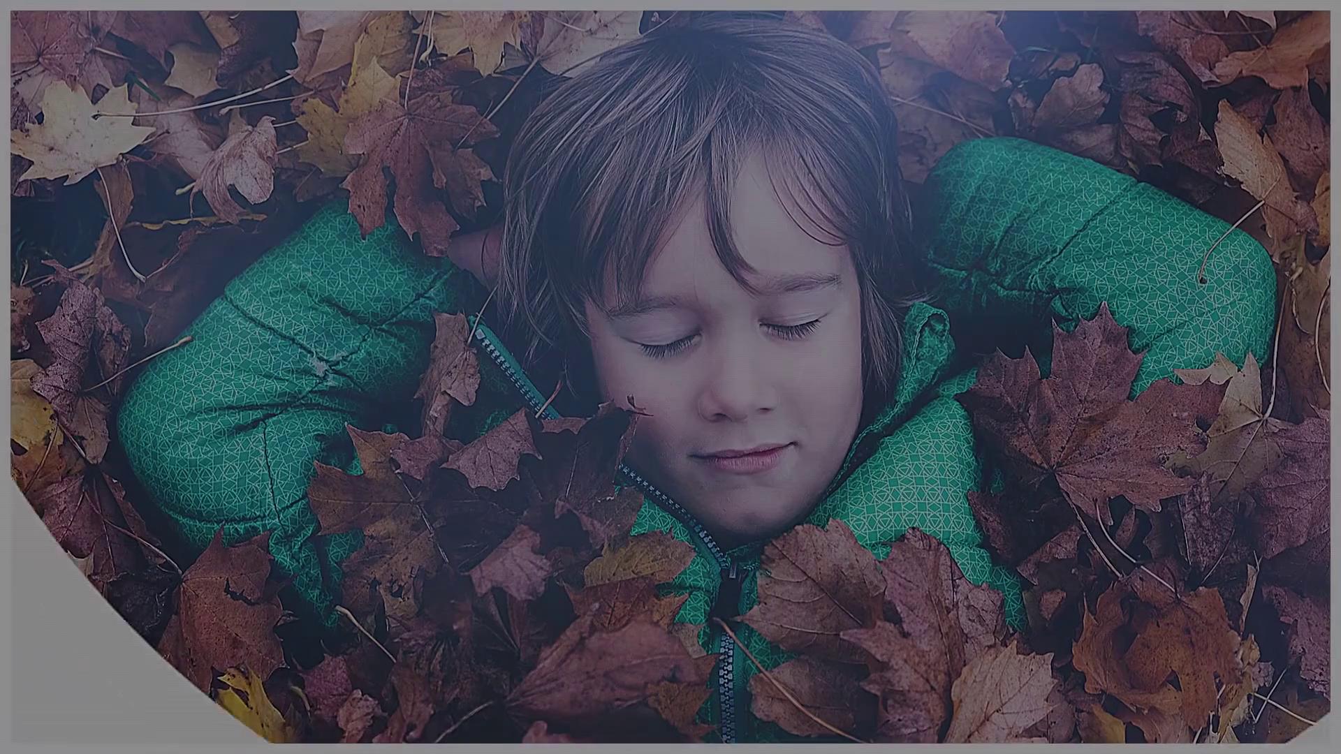 DaVinci Resolve template openers Collection Thumbnail